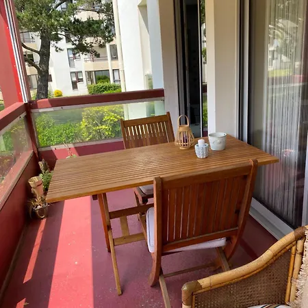 Nid De Verdure Proche Ocean *