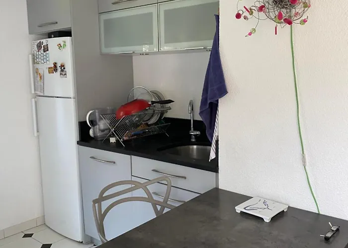 Nid De Verdure Proche Ocean *